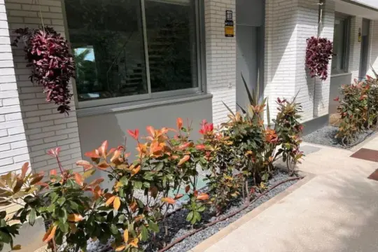 Image 15 thumb