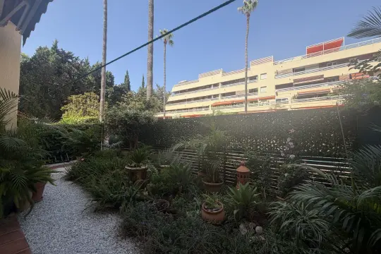 Image 4 thumb