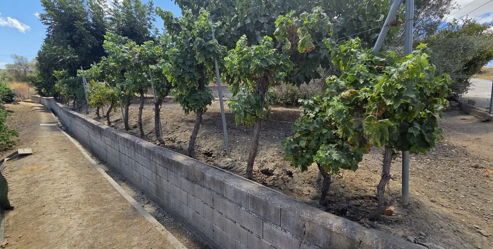Venta de finca - cortijo en Coín 8