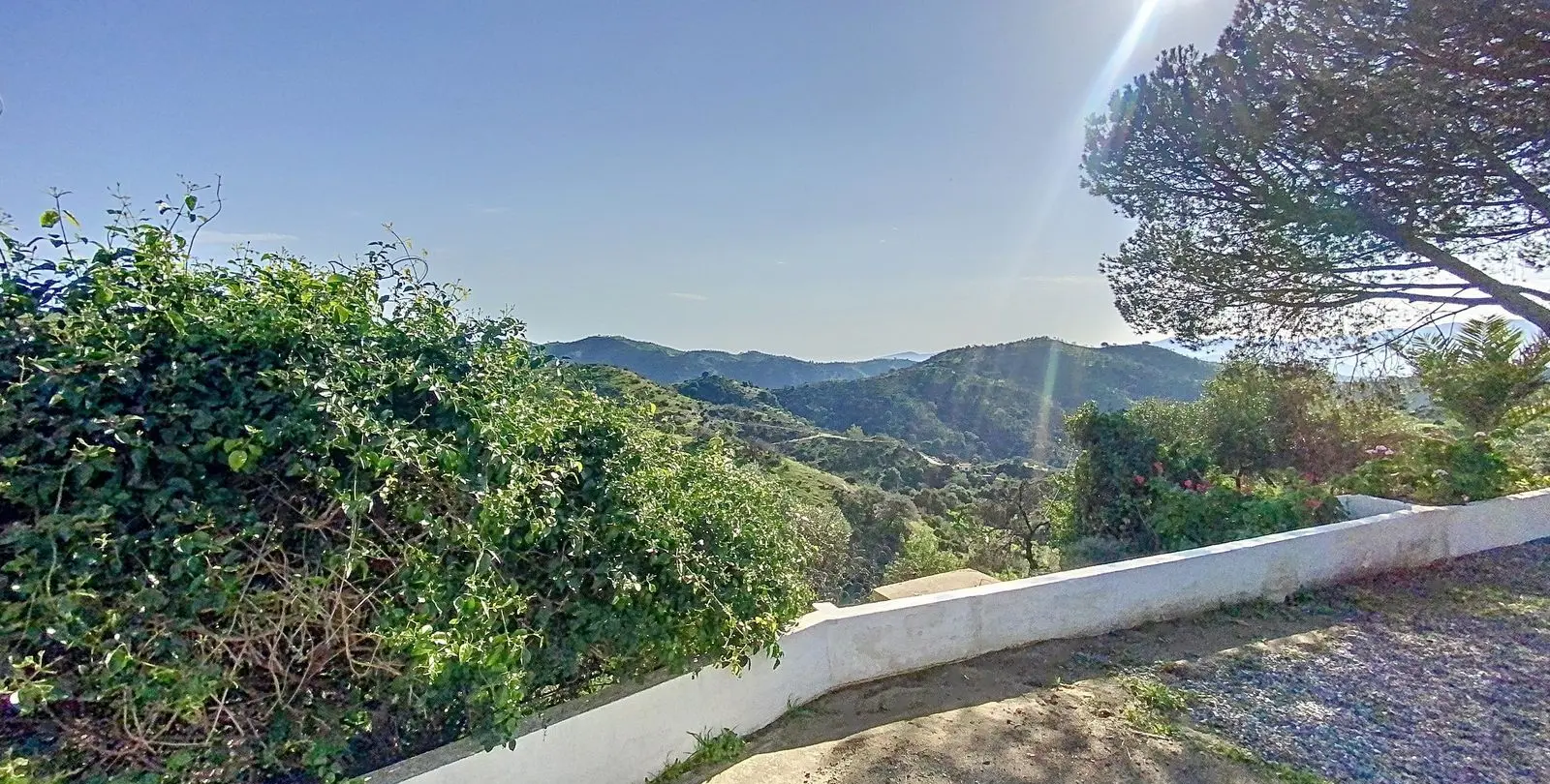 Venta de finca - cortijo en Pizarra 8