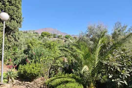 Image 4 thumb