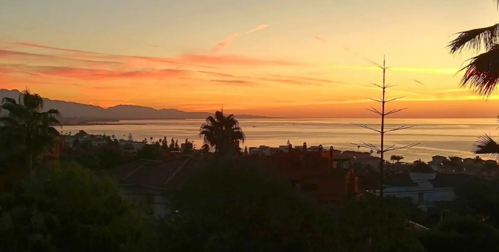 Sale of detached villa in Estepona 5