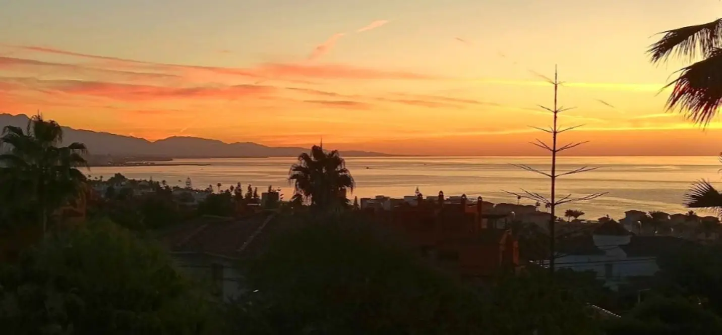 Sale of detached villa in Estepona 4