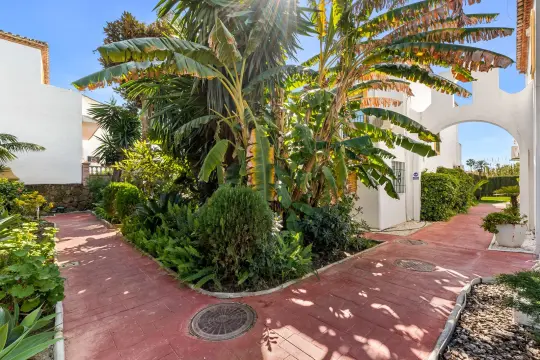 Image 56 thumb