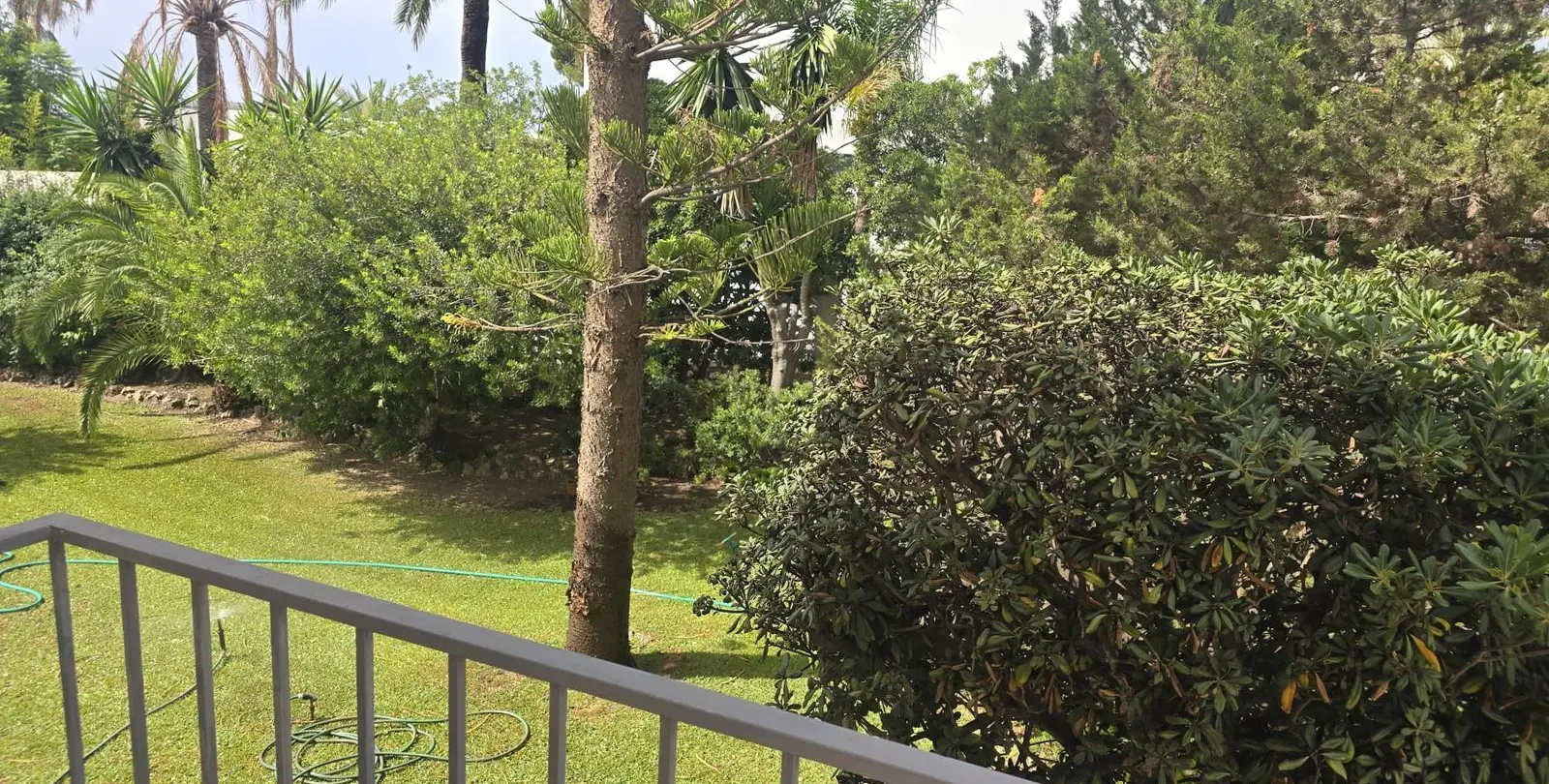 Sale of detached villa in Marbesa 1
