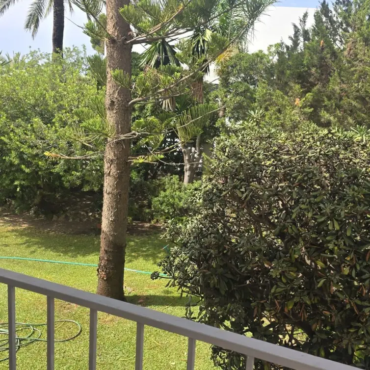 Sale of detached villa in Marbesa