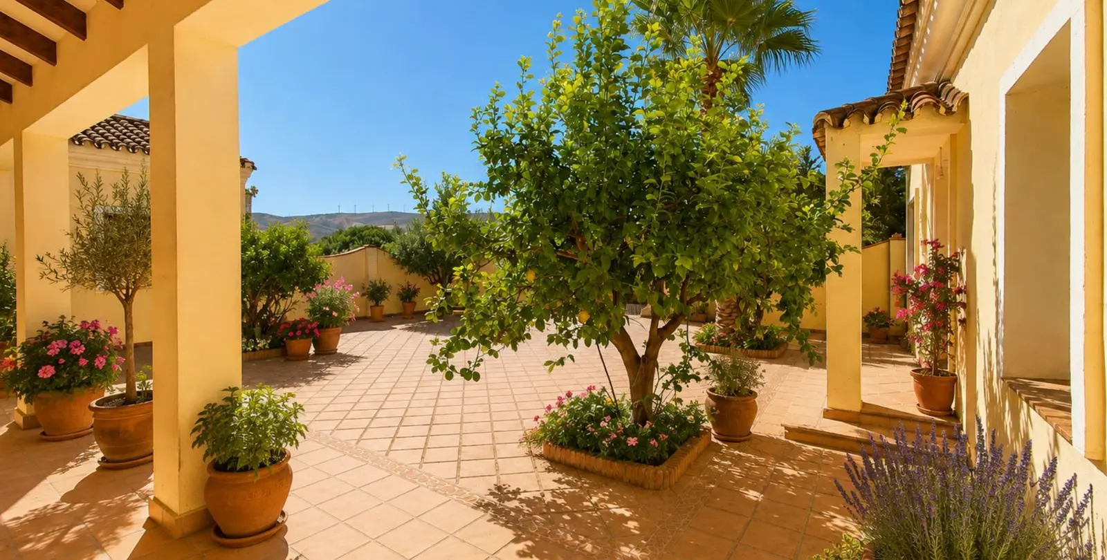 Продажа финки в Casares 27