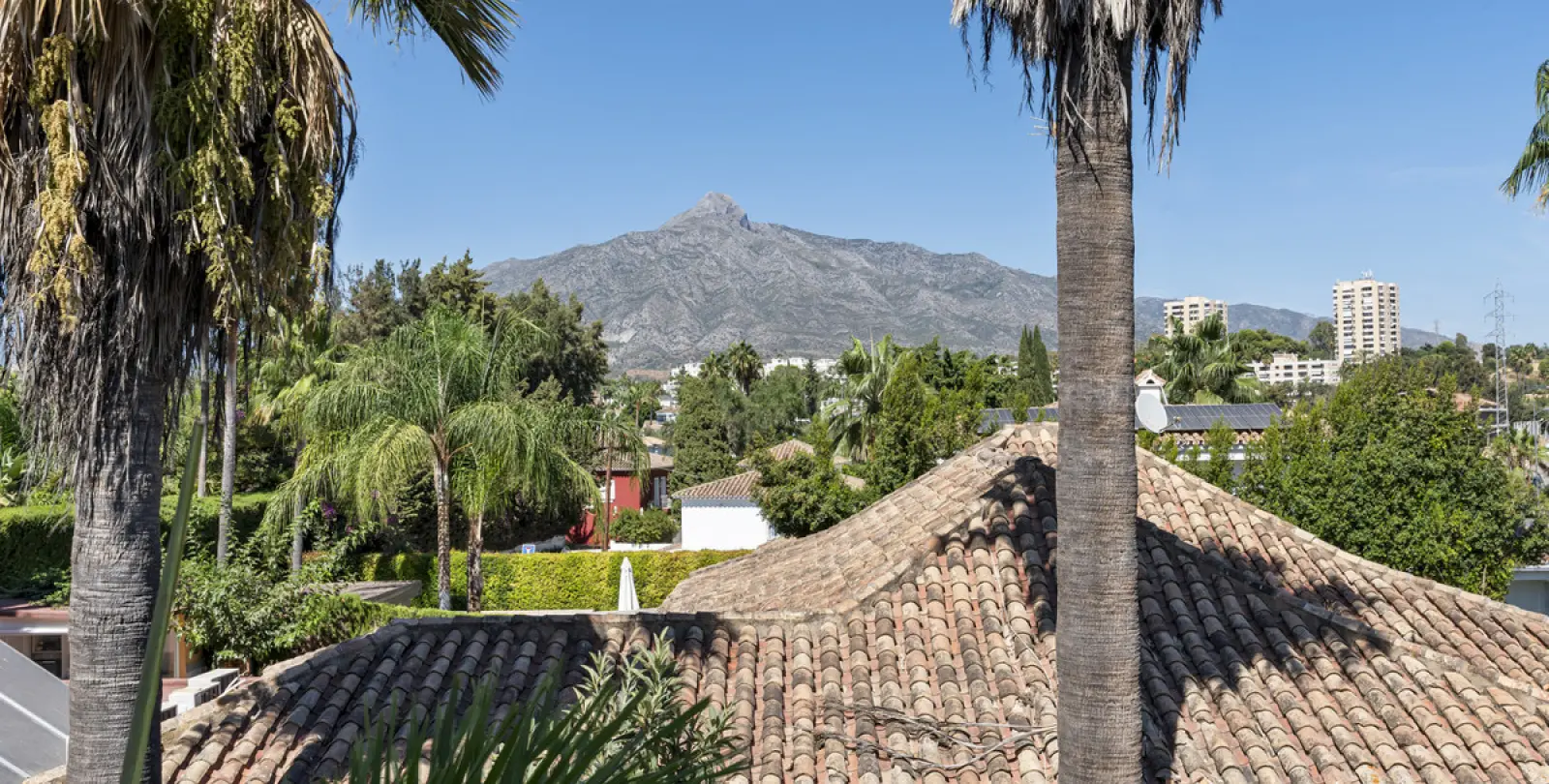 Long-term rent of detached villa in Nueva Andalucía 28