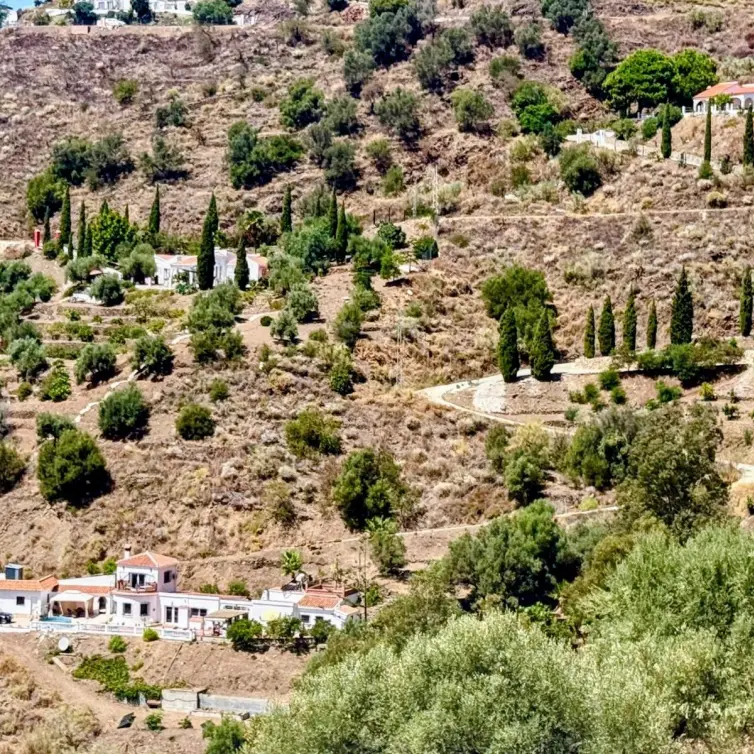 Venta de finca - cortijo en Sayalonga