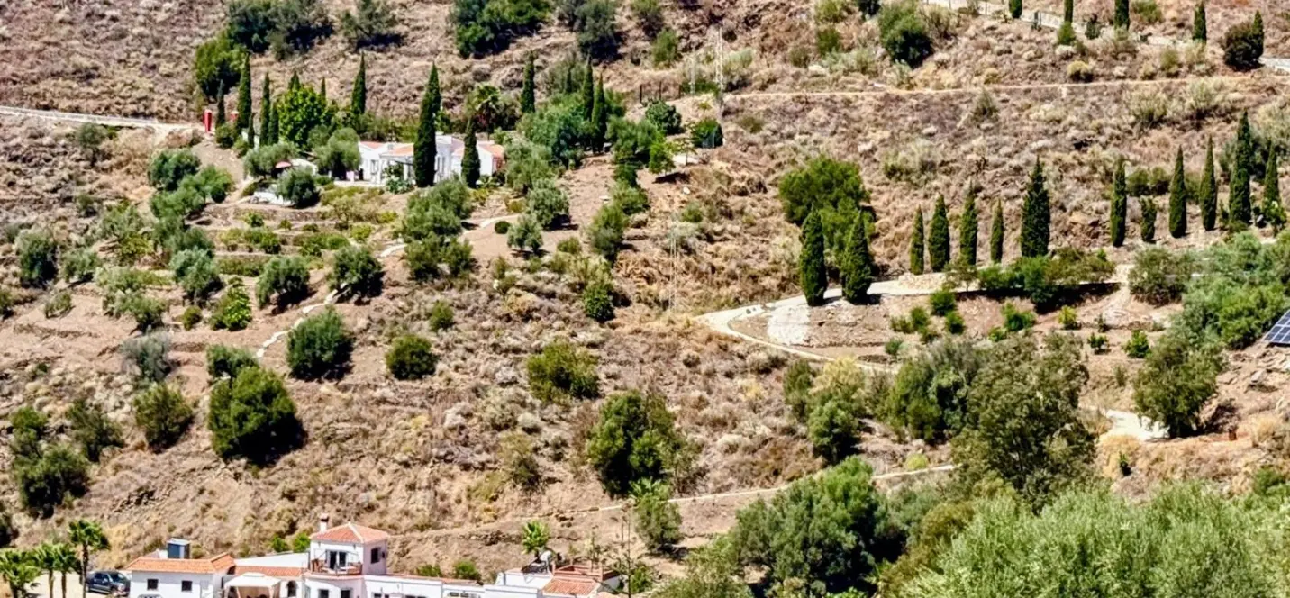 Venta de finca - cortijo en Sayalonga 3