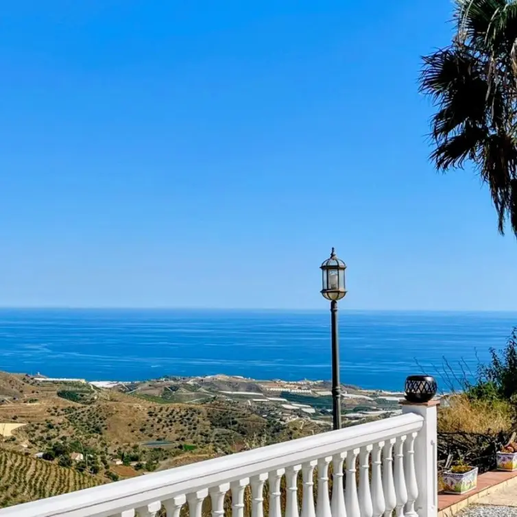 Venta de finca - cortijo en Sayalonga