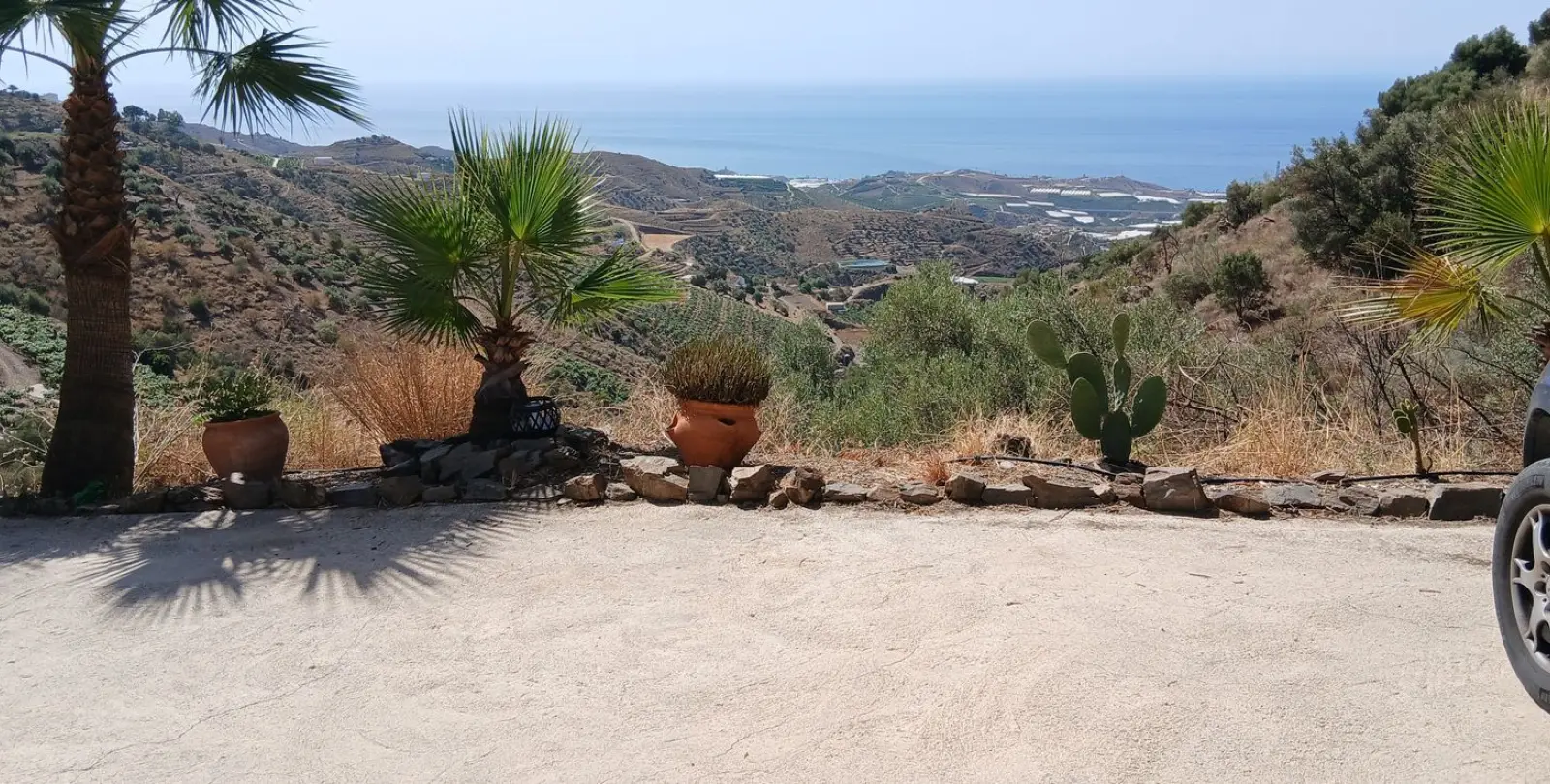 Venta de finca - cortijo en Sayalonga 7