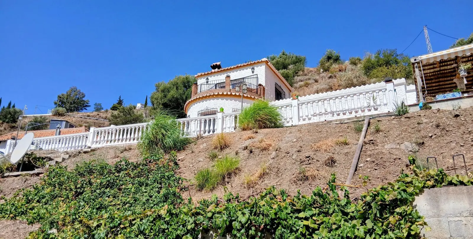 Venta de finca - cortijo en Sayalonga 8