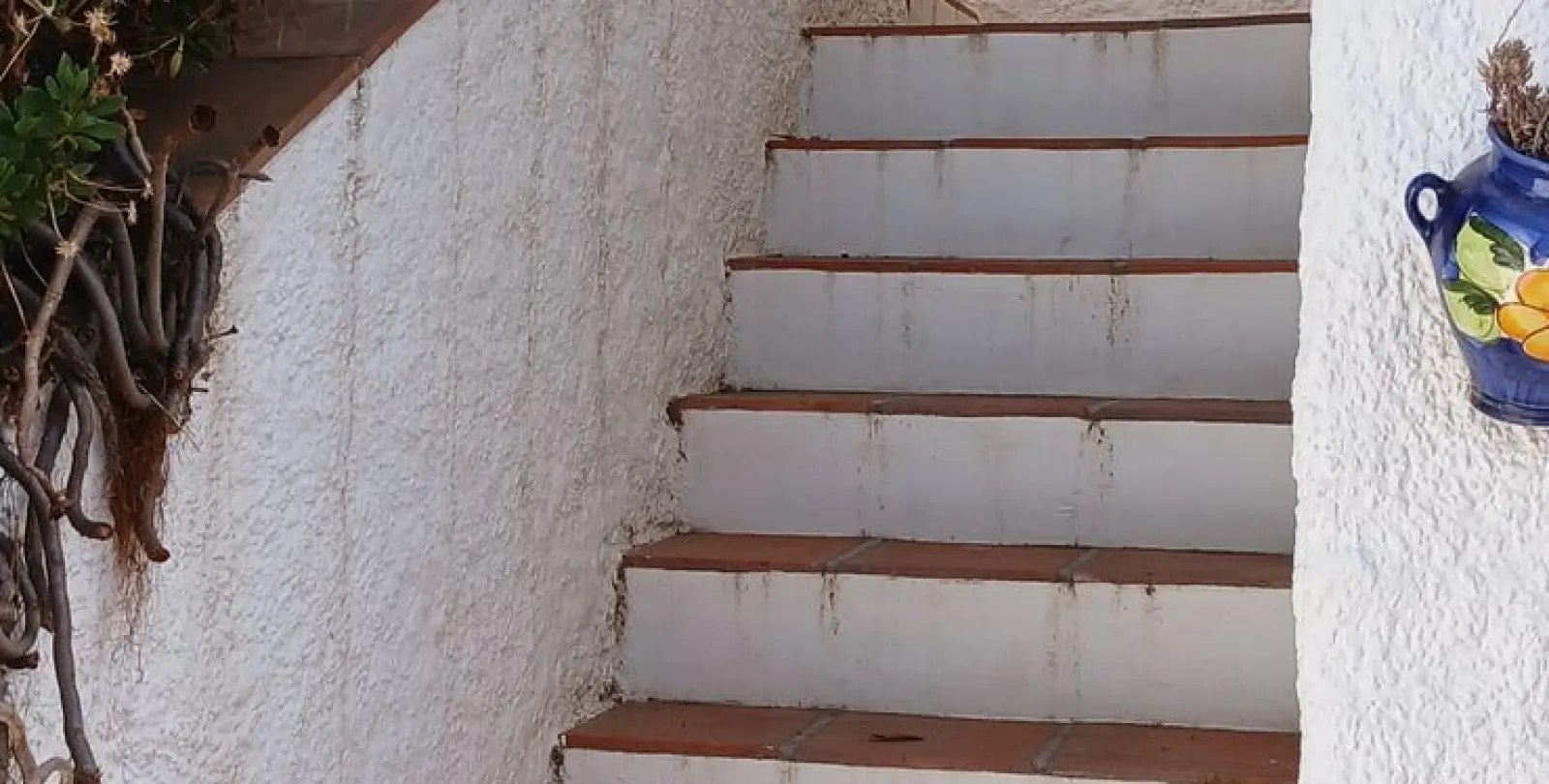 Venta de finca - cortijo en Sayalonga 20