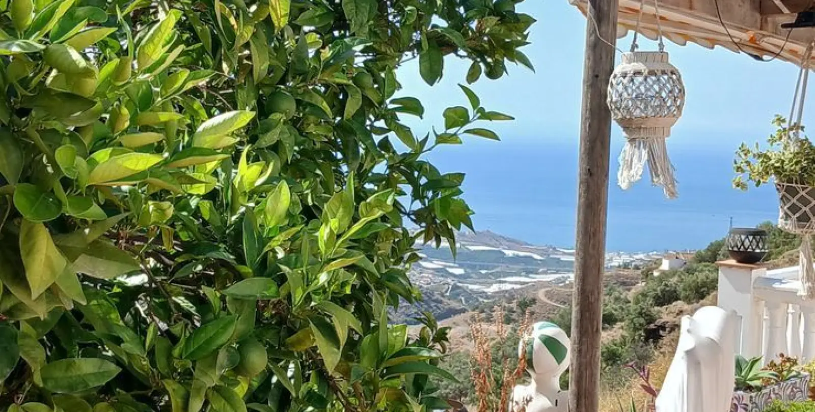 Venta de finca - cortijo en Sayalonga 23