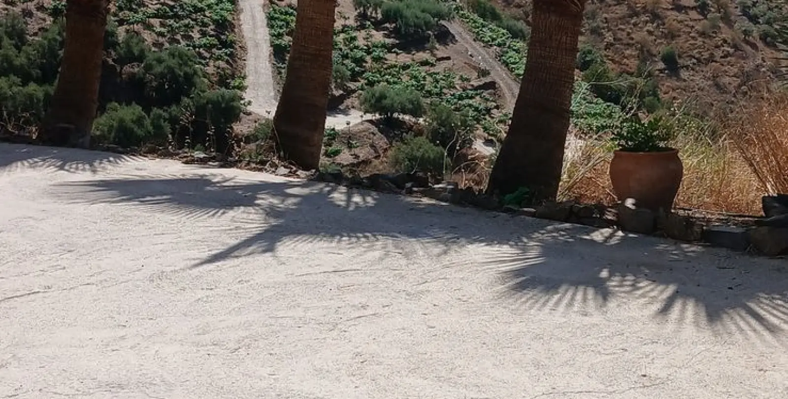 Venta de finca - cortijo en Sayalonga 99