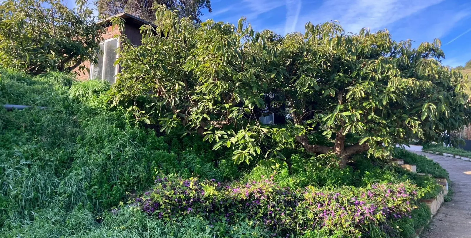 Venta de villa independiente en Nerja 43