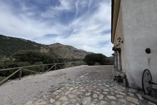 Image 6 thumb