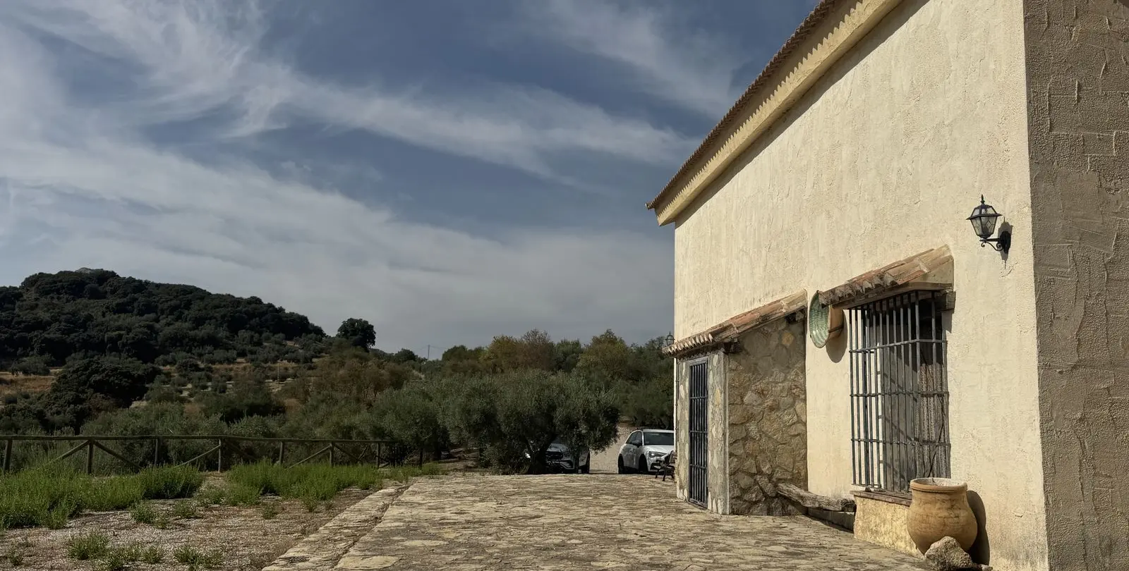 Venta de finca - cortijo en Alfarnate 7