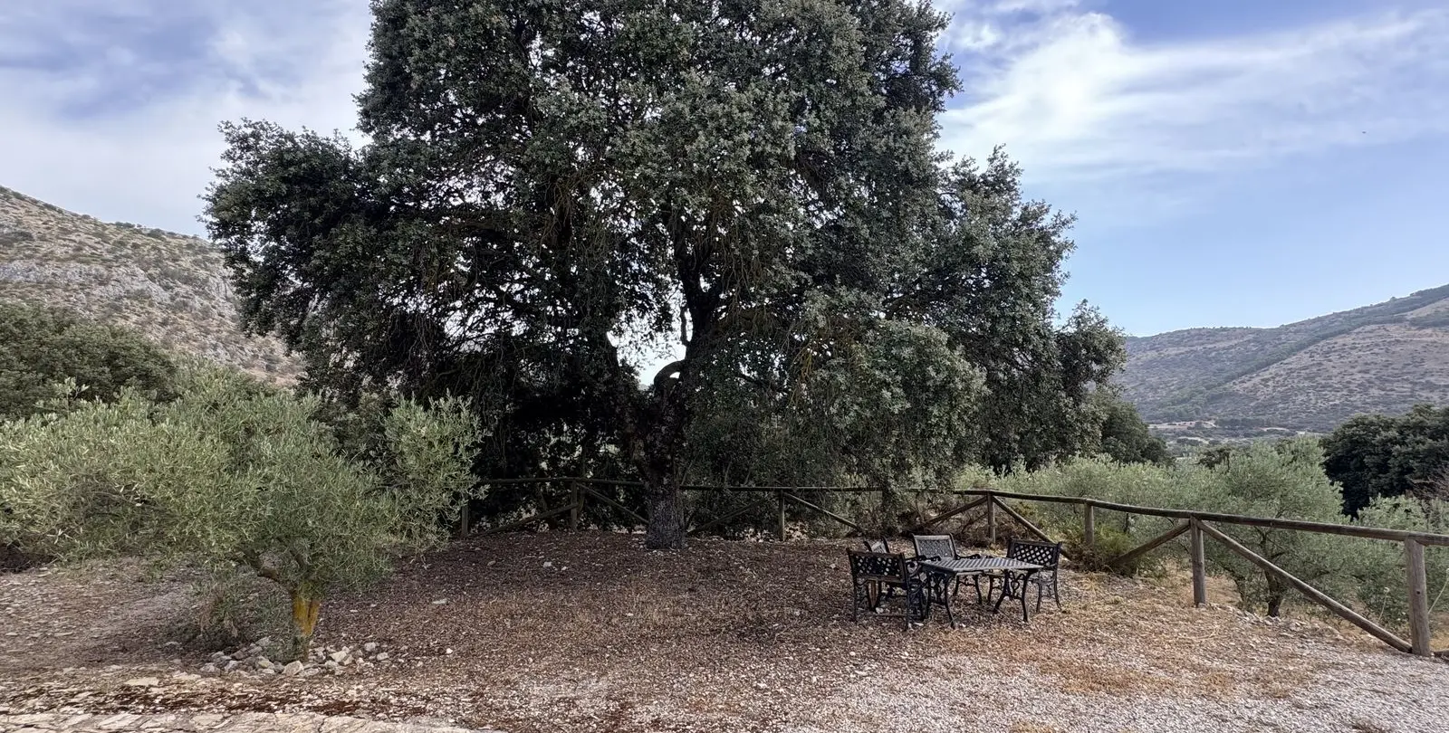 Venta de finca - cortijo en Alfarnate 9