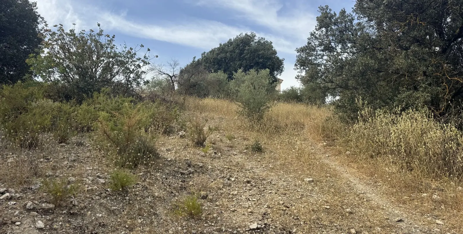 Venta de finca - cortijo en Alfarnate 10
