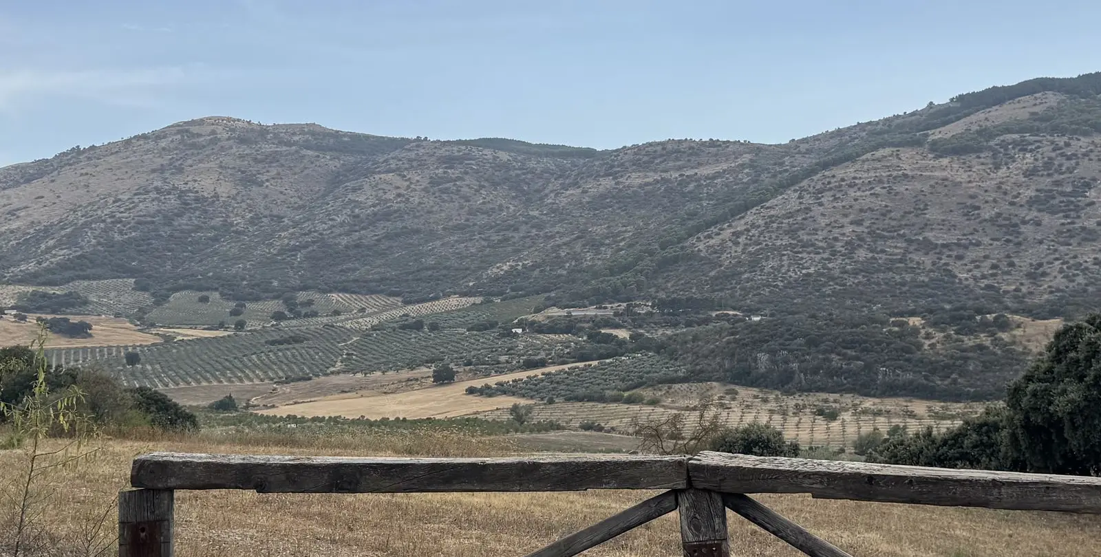 Venta de finca - cortijo en Alfarnate 12