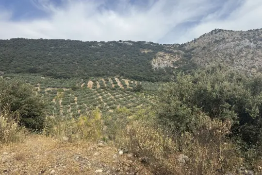 Image 18 thumb