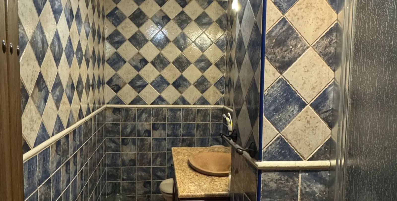 Venta de finca - cortijo en Alfarnate 19