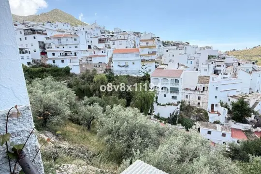 Image 7 thumb