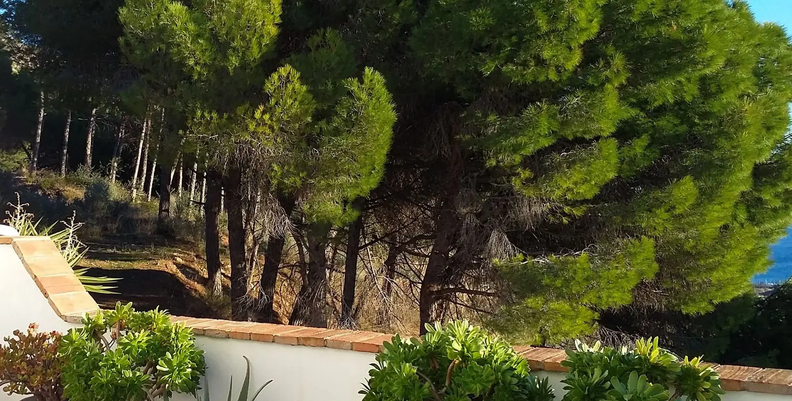 Venta de adosado en Mijas 7