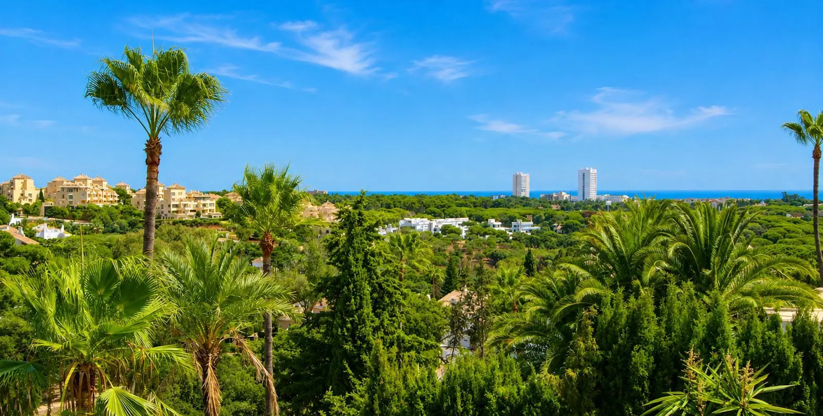 Sale of detached villa in Elviria 5
