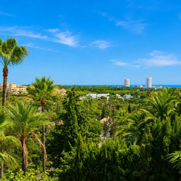 Sale of detached villa in Elviria