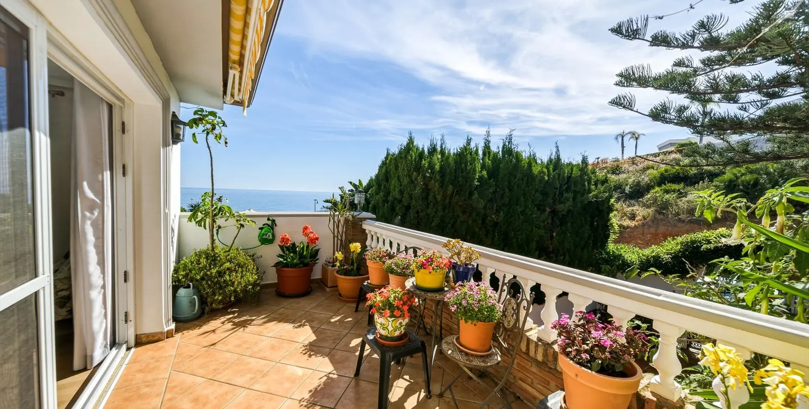 Sale of detached villa in El Chaparral 24