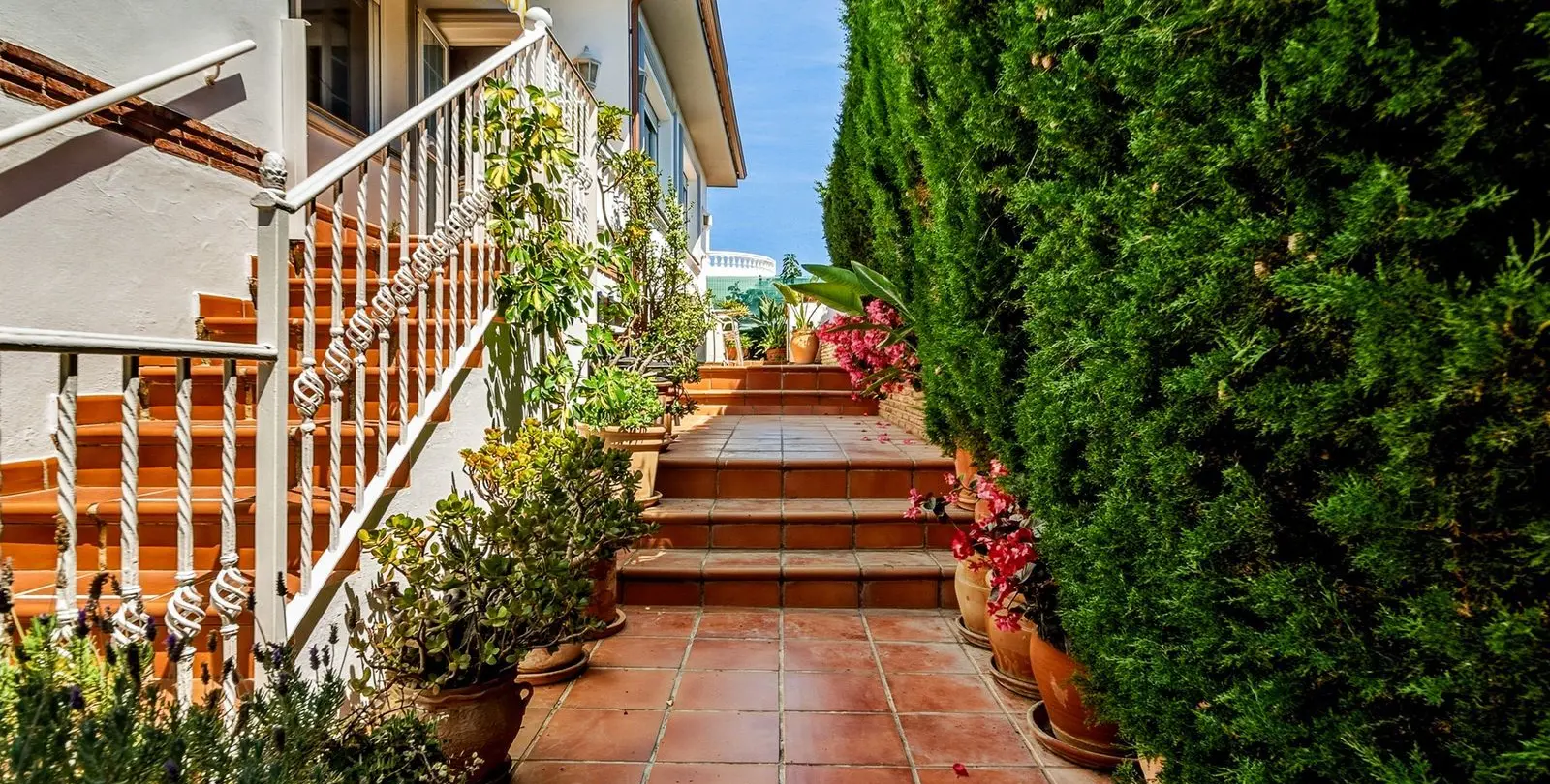 Sale of detached villa in El Chaparral 51