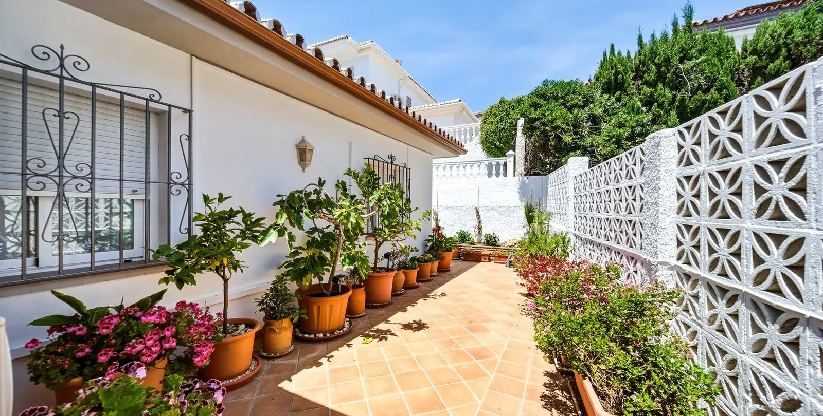 Sale of detached villa in El Chaparral 53