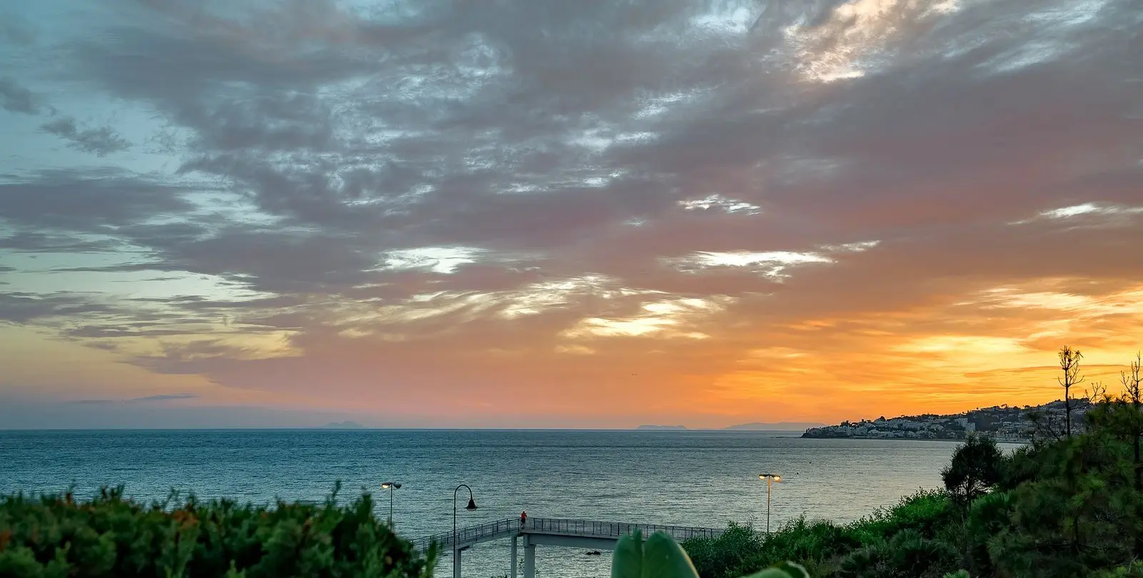 Sale of detached villa in El Chaparral 64