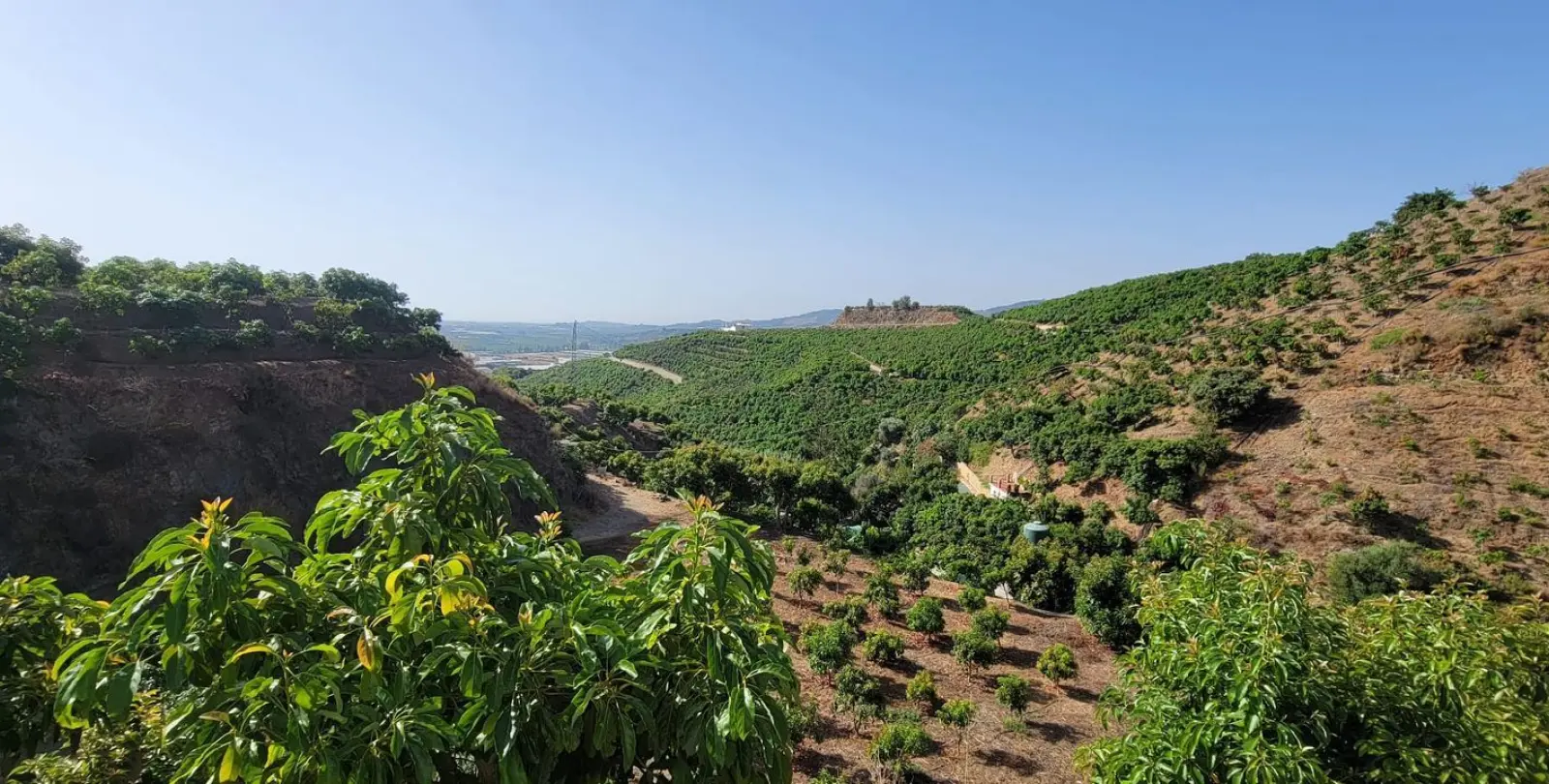 Venta de parcela residencial en Vélez-Málaga 1