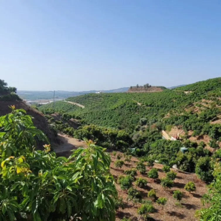 Venta de parcela residencial en Vélez-Málaga