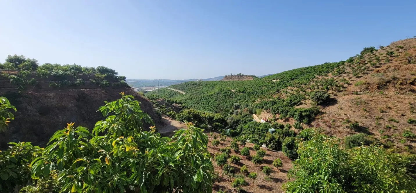 Venta de parcela residencial en Vélez-Málaga 0