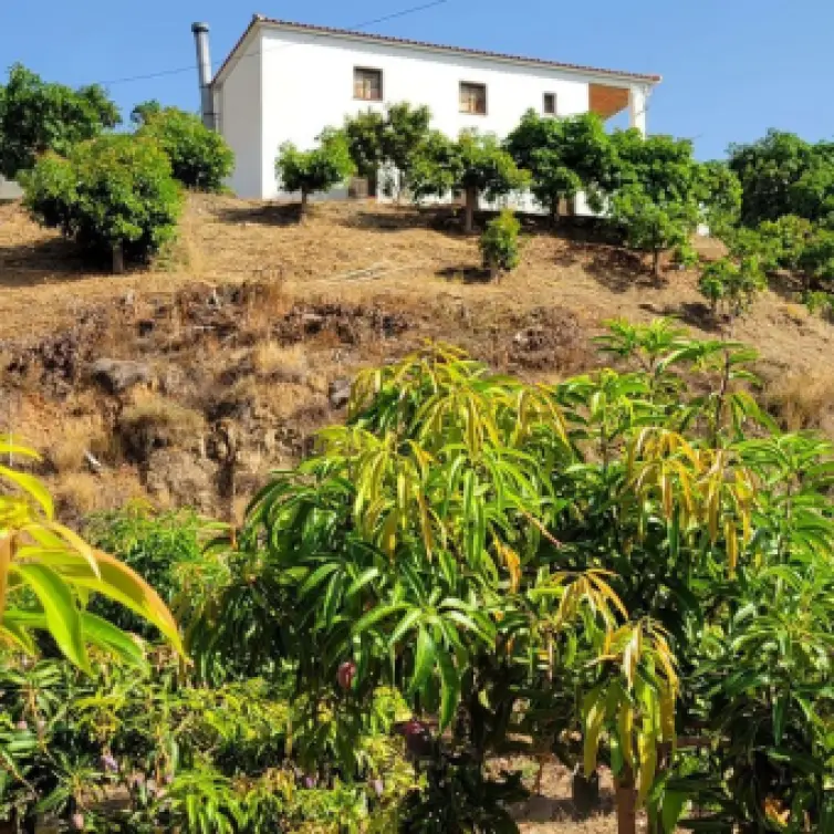 Venta de parcela residencial en Vélez-Málaga