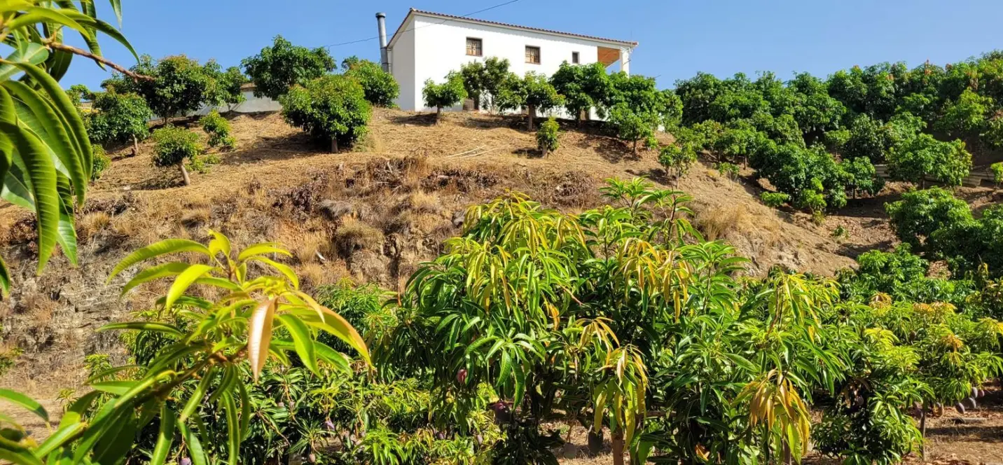 Venta de parcela residencial en Vélez-Málaga 1