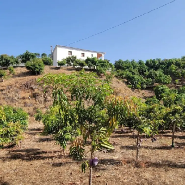 Venta de parcela residencial en Vélez-Málaga