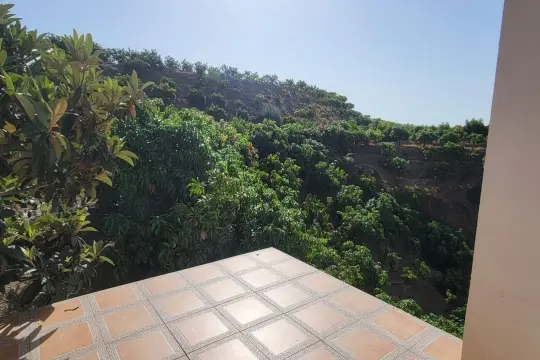 Image 7 thumb