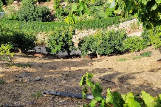 Image 18 thumb