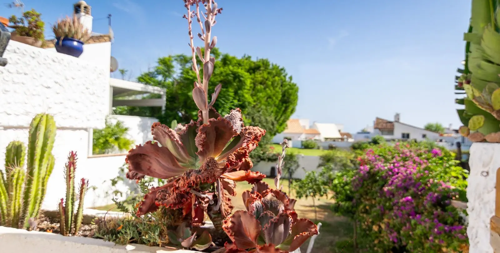 Sale of semi-detached house in Estepona 87