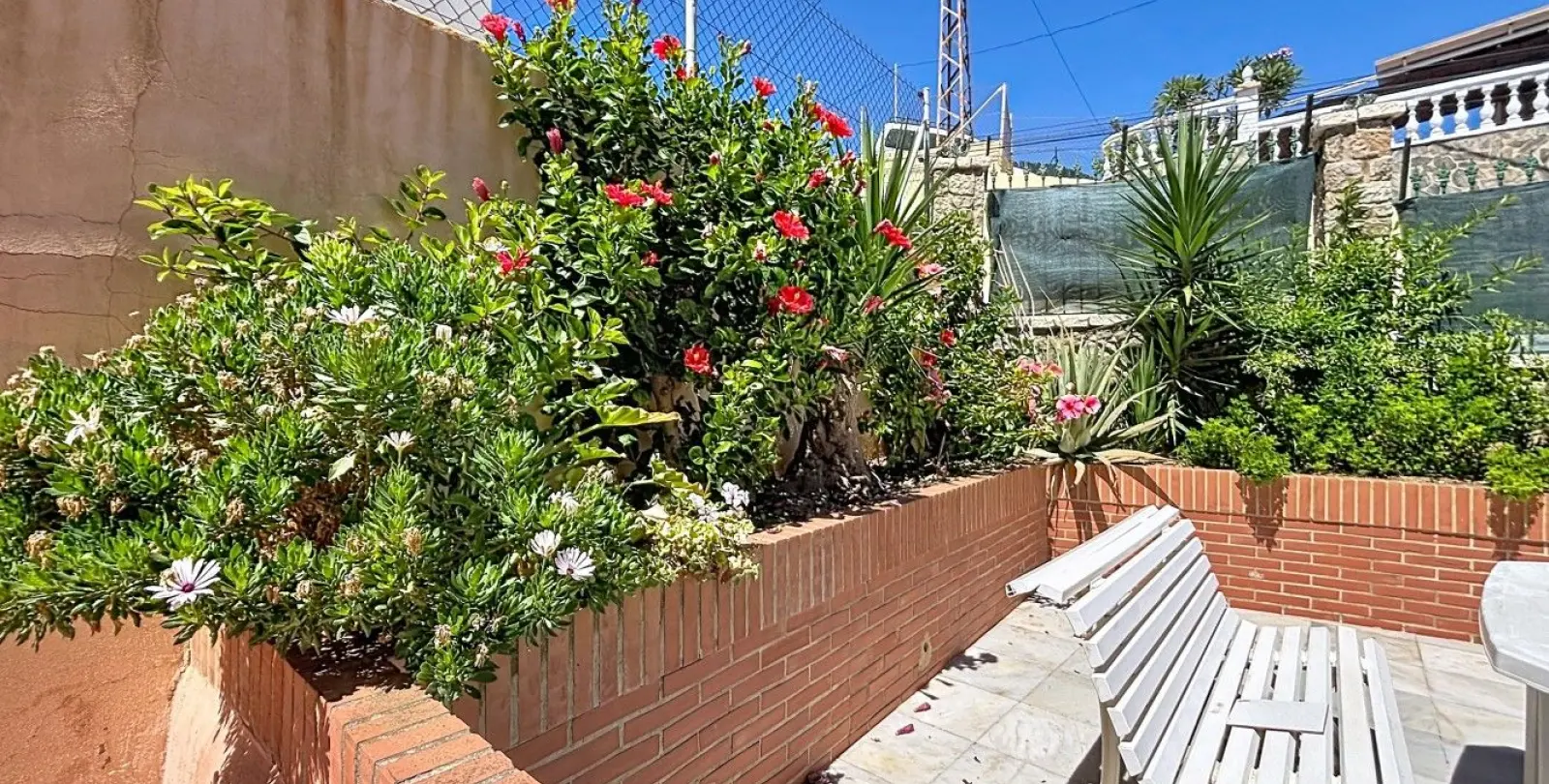 Sale of detached villa in Almayate 12