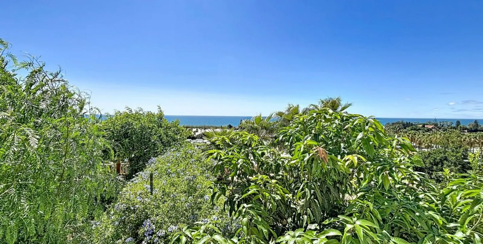 Sale of detached villa in Almayate 43
