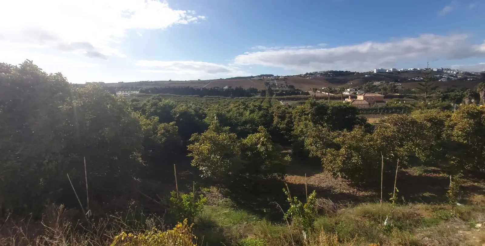 Продажа  жилого участка в Estepona 1