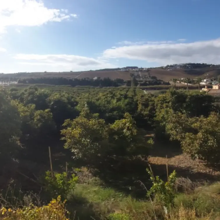 Sale of residential plot in Estepona