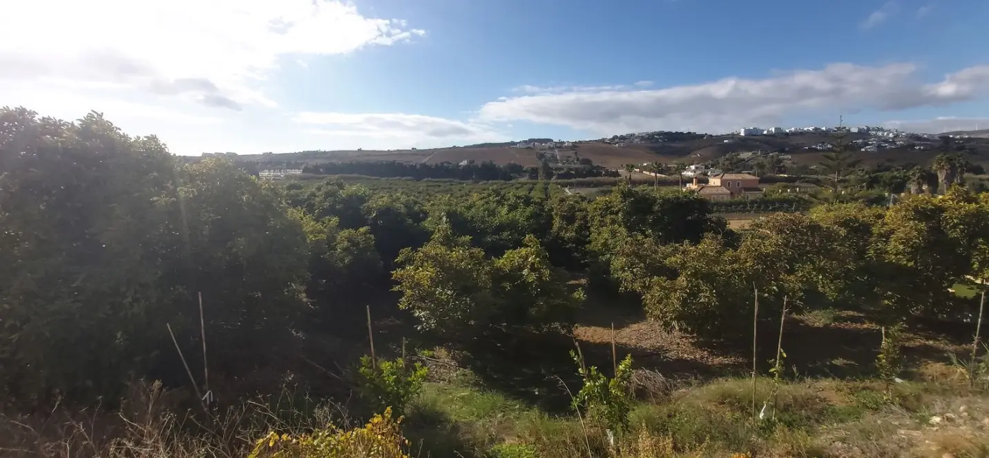 Sale of residential plot in Estepona 0